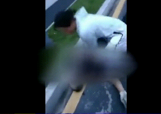 30.gif