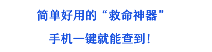 31.png