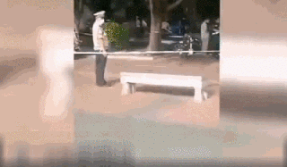 17.gif