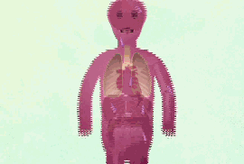 03.gif