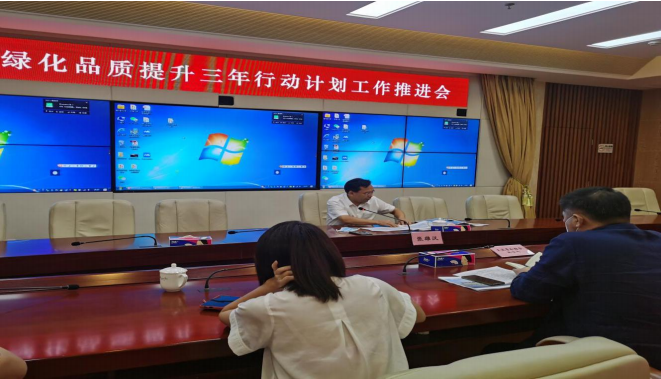 盐田区领导张雄汉同志召开绿化品质提升三年行动专题部署会