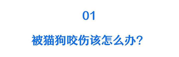 01.jpg