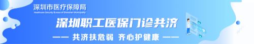 深圳市政务专题