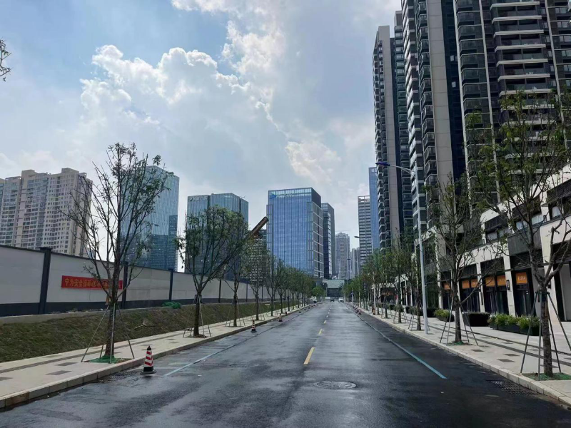 环兴一路（坪山大道-万樾府出入口）.png