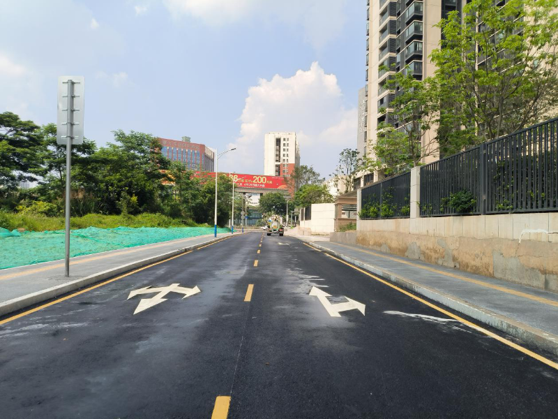 环盛一路（比亚迪路-环兴一路）.png