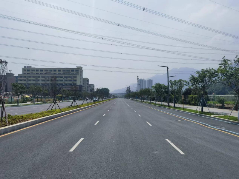 高新大道（横塘路-金田东路）.png