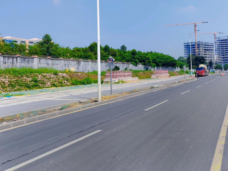金辉北路（坪山大道-震雄工业园东出入口）.png