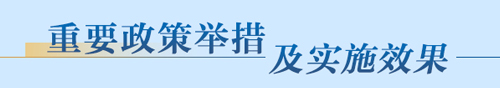 重要政策举措及实施效果