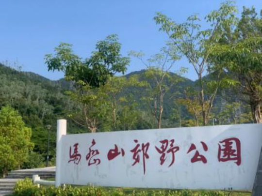6马峦山郊野公园1.jpg