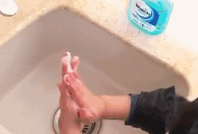 22.gif