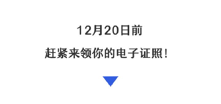 15.png
