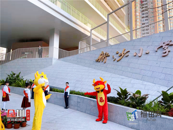 不仅有新校园还有牛公仔福田区新沙小学开启新学期