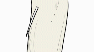 16.gif