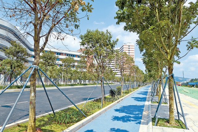 丹梓北路设置的独立自行车道极大地保障了学校师生家长非机动车出行安全。.jpg