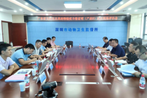 已编辑图片