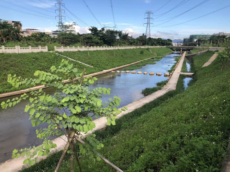 照片1.jpg