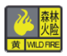 说明: 森林黄色.png
