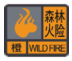 说明: 森林橙色.png