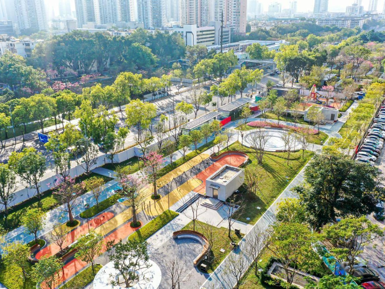 深圳市城市管理和综合执法局冯增军副局长主持召开山海连城绿美深圳城市绿化美化提升工作现场会-深圳政府在线_深圳市人民政府门户网站