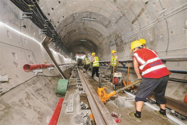 深圳特区报记者 刘羽洁、戴晓蓉.jpg