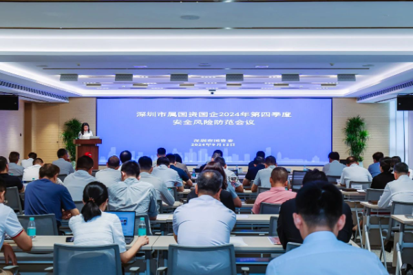 深圳市国资委组织召开市属国资国企2024年第四季度安全风险防范会议