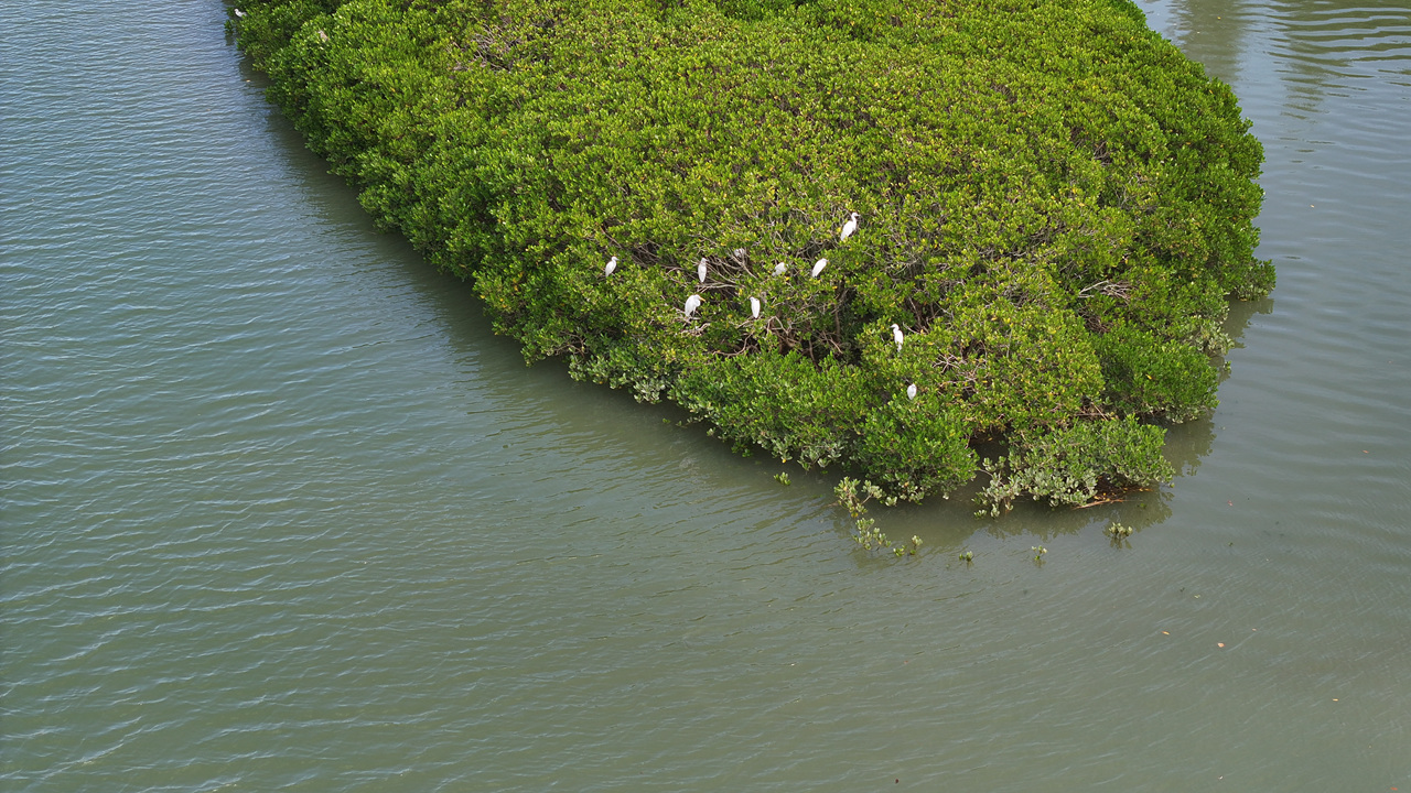 DJI_20241014064004_0031_D_副本.jpg