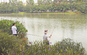 我市公园部分区域可以钓鱼了