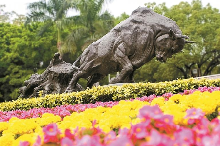 在改革开放文物中读懂深圳