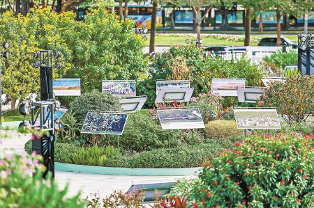 国际红树林之夜在深启幕 国际红树林之夜在深启幕