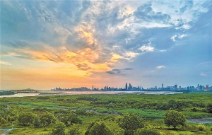 坚持“生态定力” 涵养“经济活力”