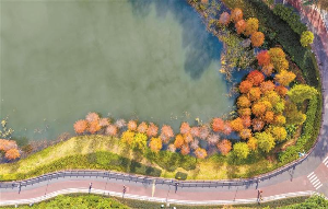 深圳迎来“美拉德季”
