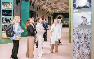 探索“未至之境”