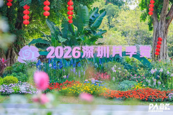 2222.jpg
