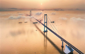 深中共晖 大桥入画