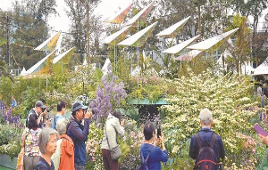 深圳园艺在港捧金奖