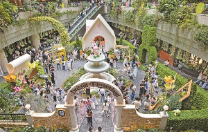 前海繁华商圈邂逅梦屿花境