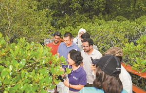 探访古村湿地 共话山海之美
