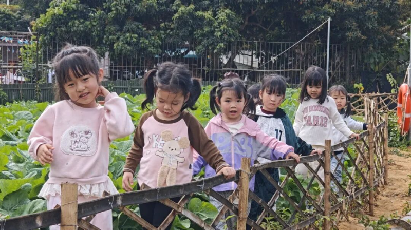 田田幼儿园:让童年走进乡村自然 5.jpg