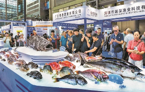 深圳三展同启