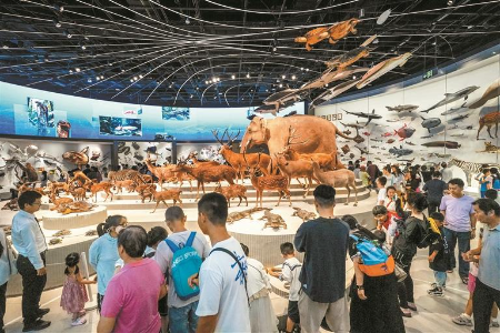 深圳自然博物馆昨日开馆 深圳自然博物馆昨日开馆