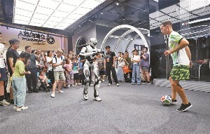 “极致中国化”风潮吹到了深圳