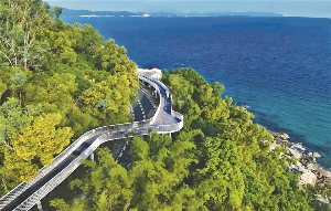 山海之间 藏着深圳人的温柔守护