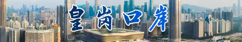 深圳市政务专题