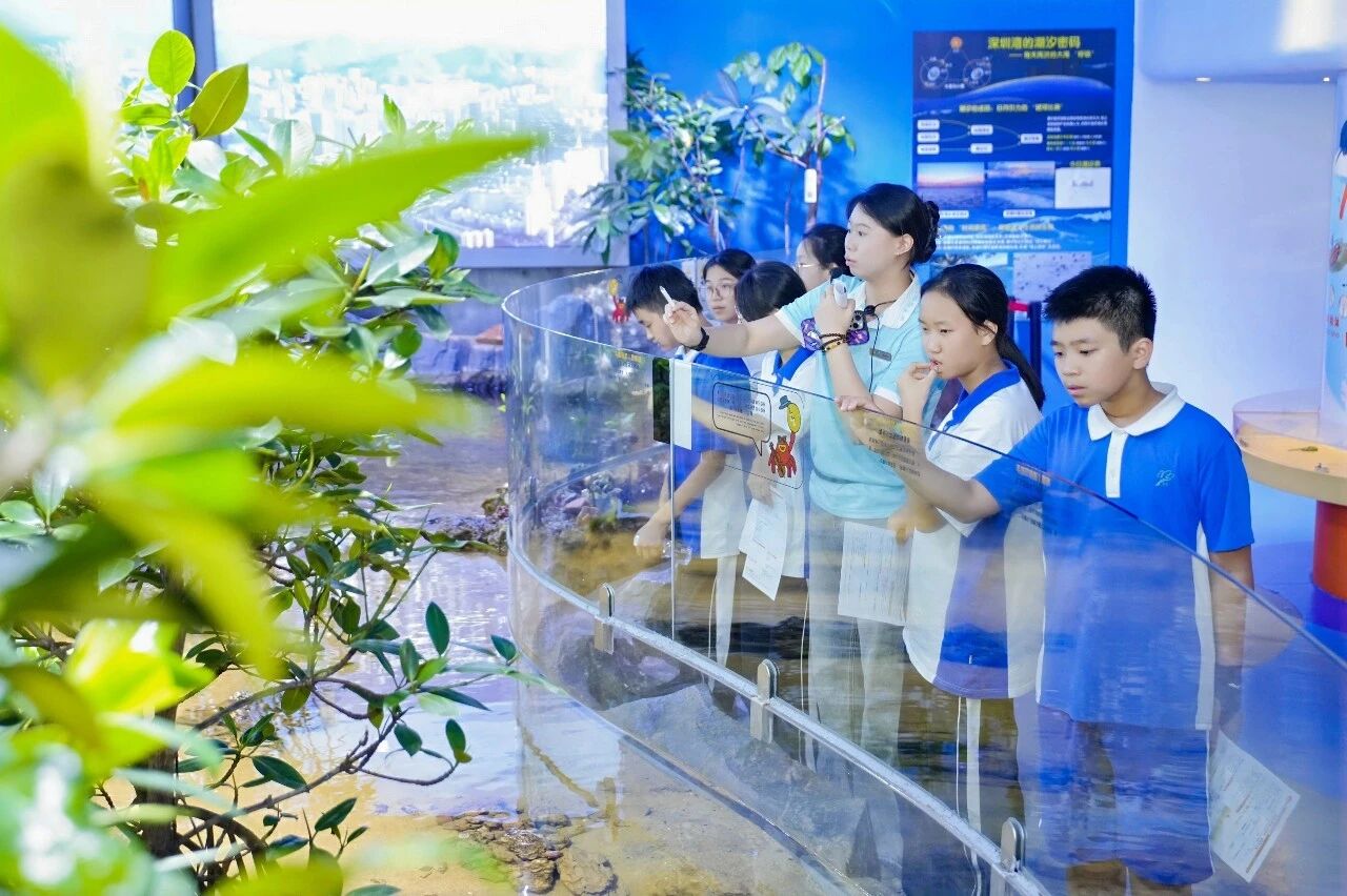 太子湾学校的同学们,走进海洋奇梦馆。学校供图.jpg