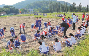 知节气 学农事